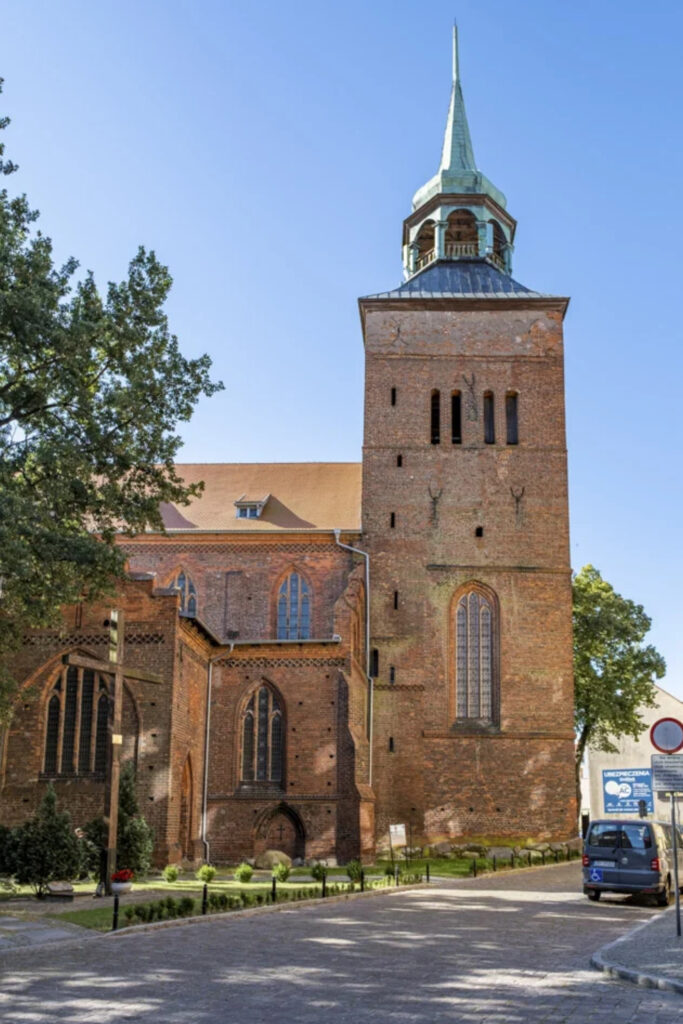 adwokaci białogard